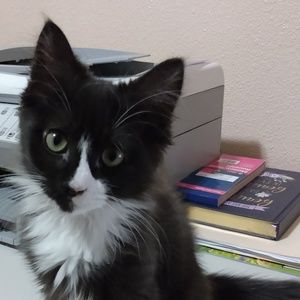 Meet your Posher, Kandra